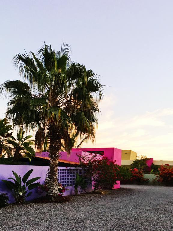 The Hotelito Todos Santos Bagian luar foto